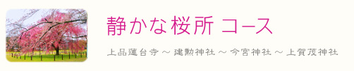 京都 さくらデート 静かな桜所 コース