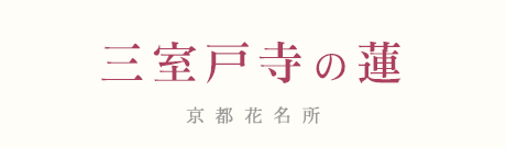 Oˎ@nX