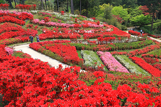 �O���ˎ��@�v���ăc�c�W