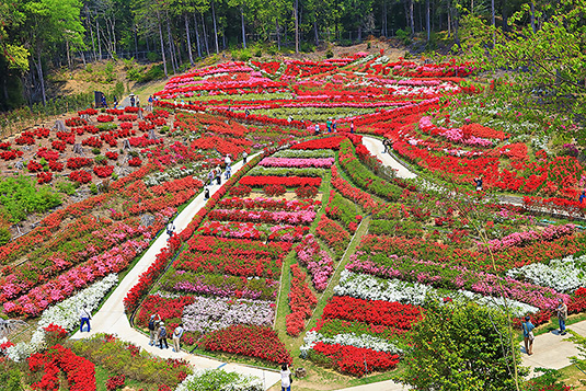 �O���ˎ��@�v���Ă���