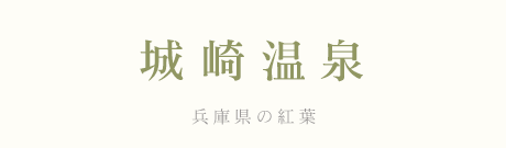 ��艷��@�ʐ^