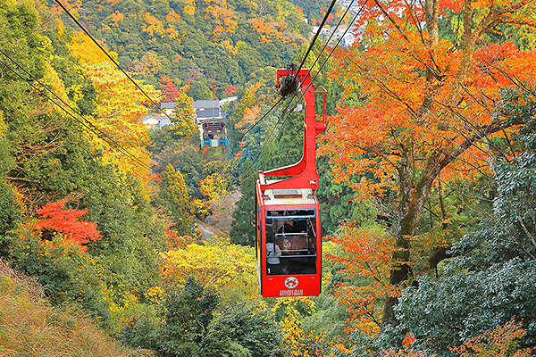 ��艷�򃍁[�v�E�F�C�@�g�t