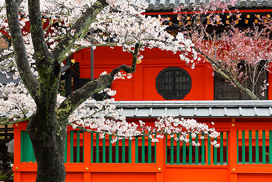 �����哰�@���@�摜