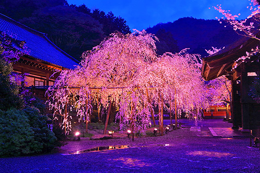 �����哰��