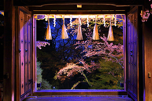 �����哰�@���C�g�A�b�v�@��