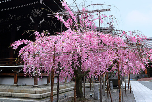 �Ō����@���@�摜