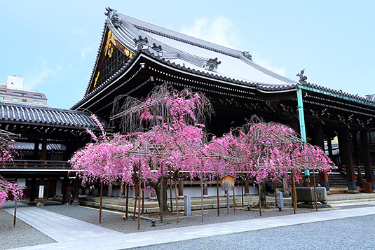 �Ō����@���@�ʐ^