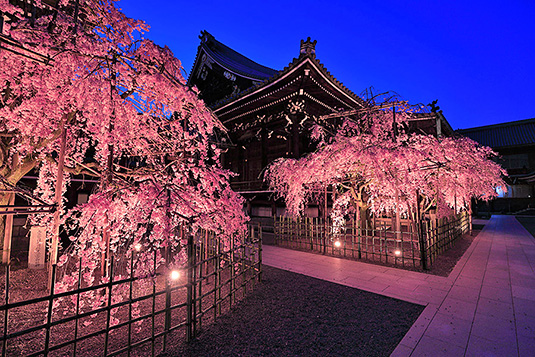 �Ō����@���@�Ԍ�