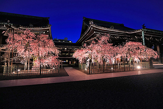 �Ō����@���@���掿�摜