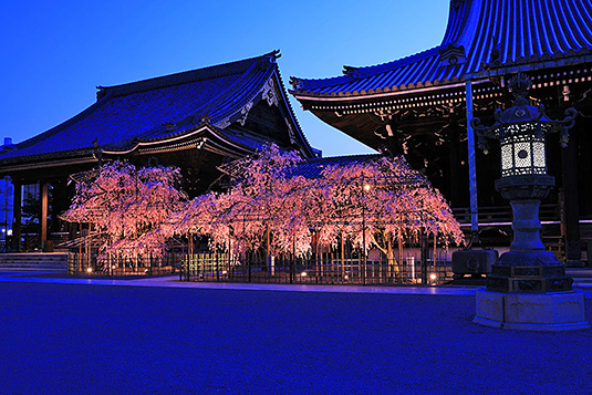 �Ō����@����@���C�g�A�b�v