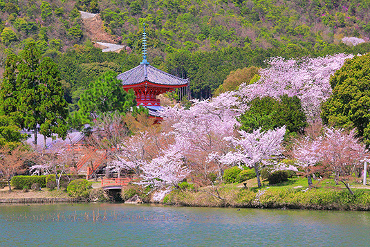 ��o���@���@�ʐ^