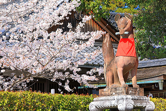 ������ב�Ё@�t�@�ʐ^