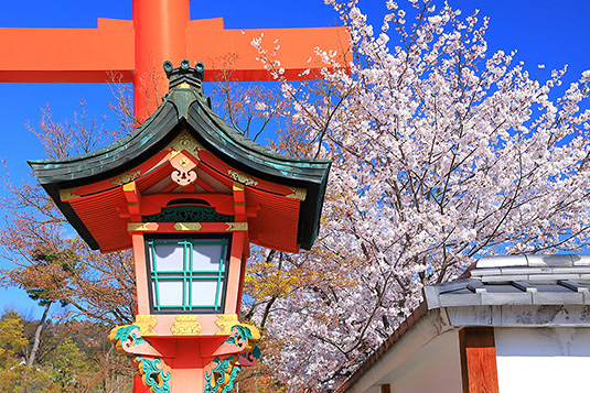 ���s�@������ׁ@������