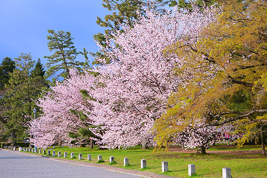 ���s�䉑�@���@����