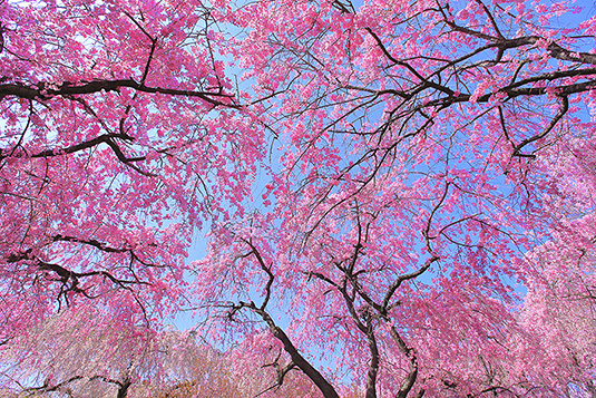 ���J���@�}�����