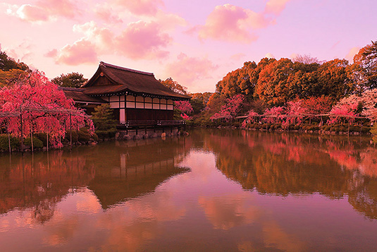 平安神宮　桜　高画質画像