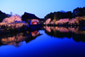 平安神宮　桜　ライトアップ　画像