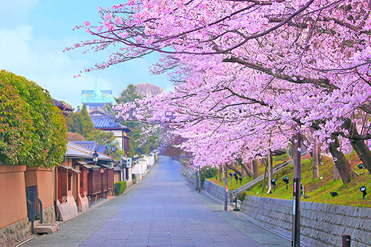 �˂˂̓��@��