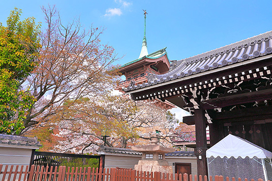 �˂˂̓��@�_���t�@��