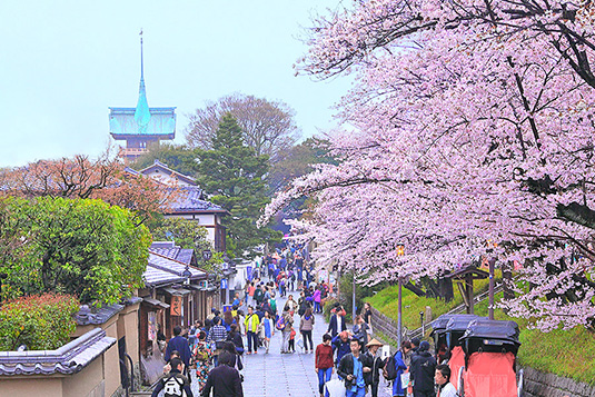 �˂˂̓��@�t�@�摜