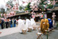 平野神社　桜花祭　神事