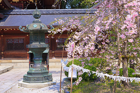 ���{�_�Ё@���@�摜