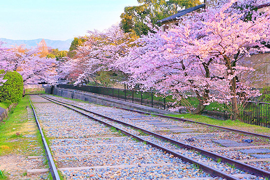 �R��C���N���C���@���@�ʐ^