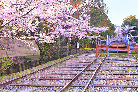 �R��C���N���C���@���@�ʐ^