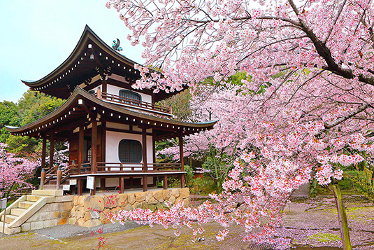 ���C���@���@�摜