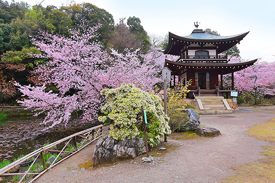 ���C����