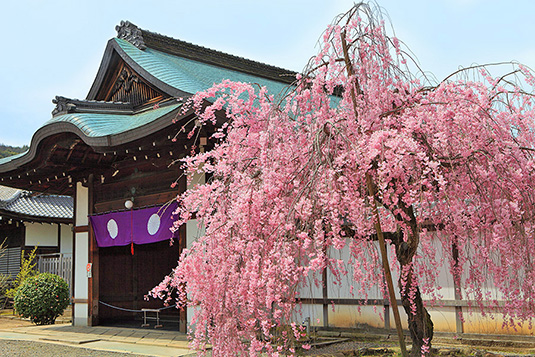 ���s�@���C���@��