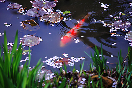 ���C���@�����@��