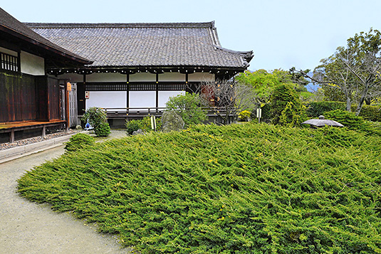 ���C���@�� �@�͂��тႭ����