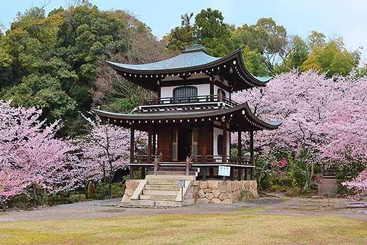 ���C���@���摜