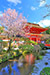 上賀茂神社　山桜