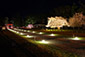 上賀茂神社　桜　ライトアップ　画像