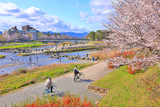 ����f���^�@���@�ʐ^