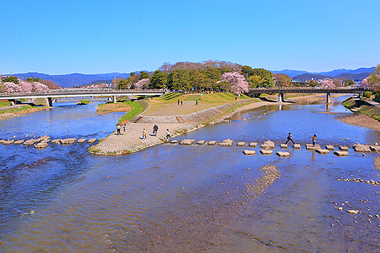 ����f���^�@���@�摜