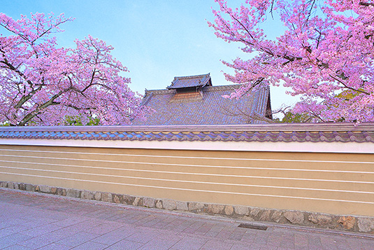 ���m���@���@�摜