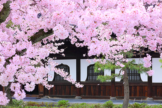 ���m���@������@�Ԍ�