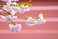 京都　建仁寺　八重桜