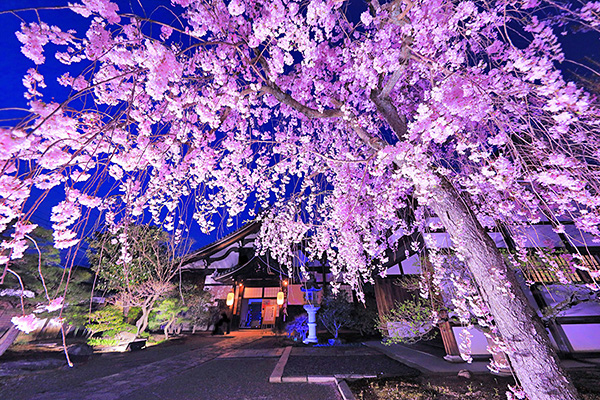 �������@���@�摜