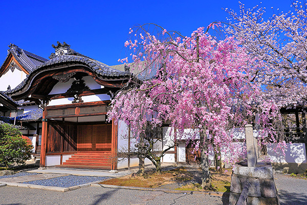 �������@���@�ʐ^