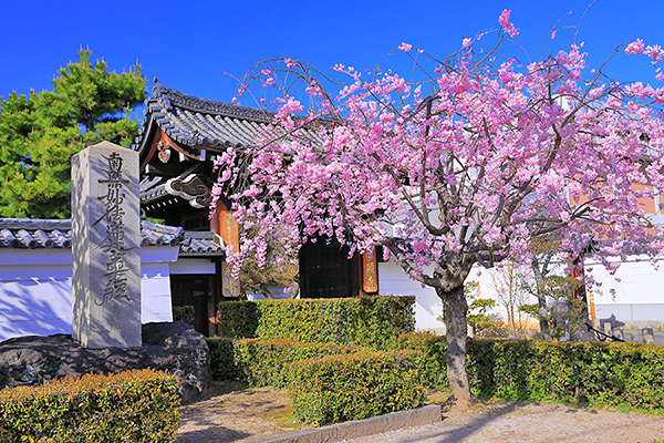 �������@������