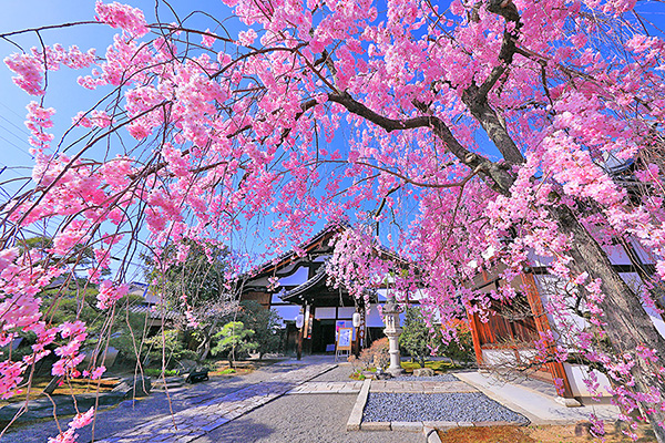 �������@��