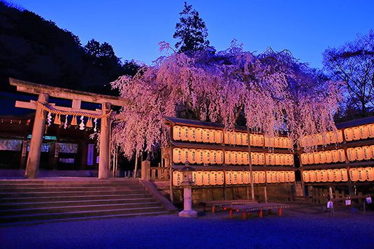 ��ΐ_�Ё@��