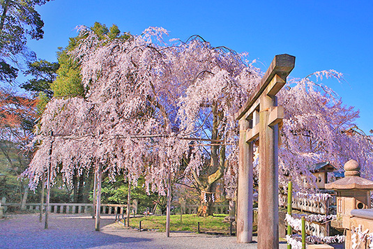 ��ΐ_�Ё@���@���掿�摜