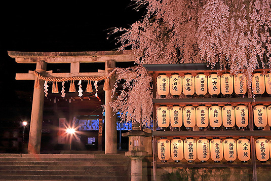 ��ΐ_�Ё@���@�摜