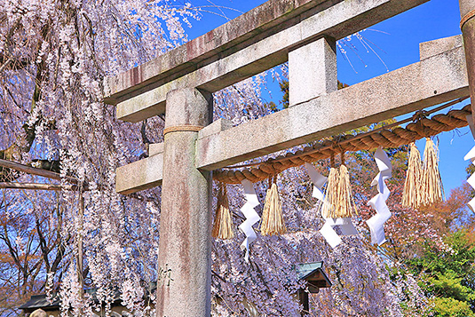 �R�ȁ@��ΐ_�Ё@��