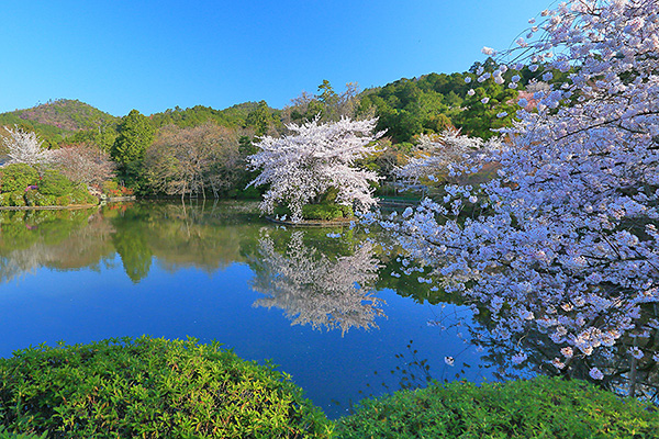 �������@���e�r�@�t